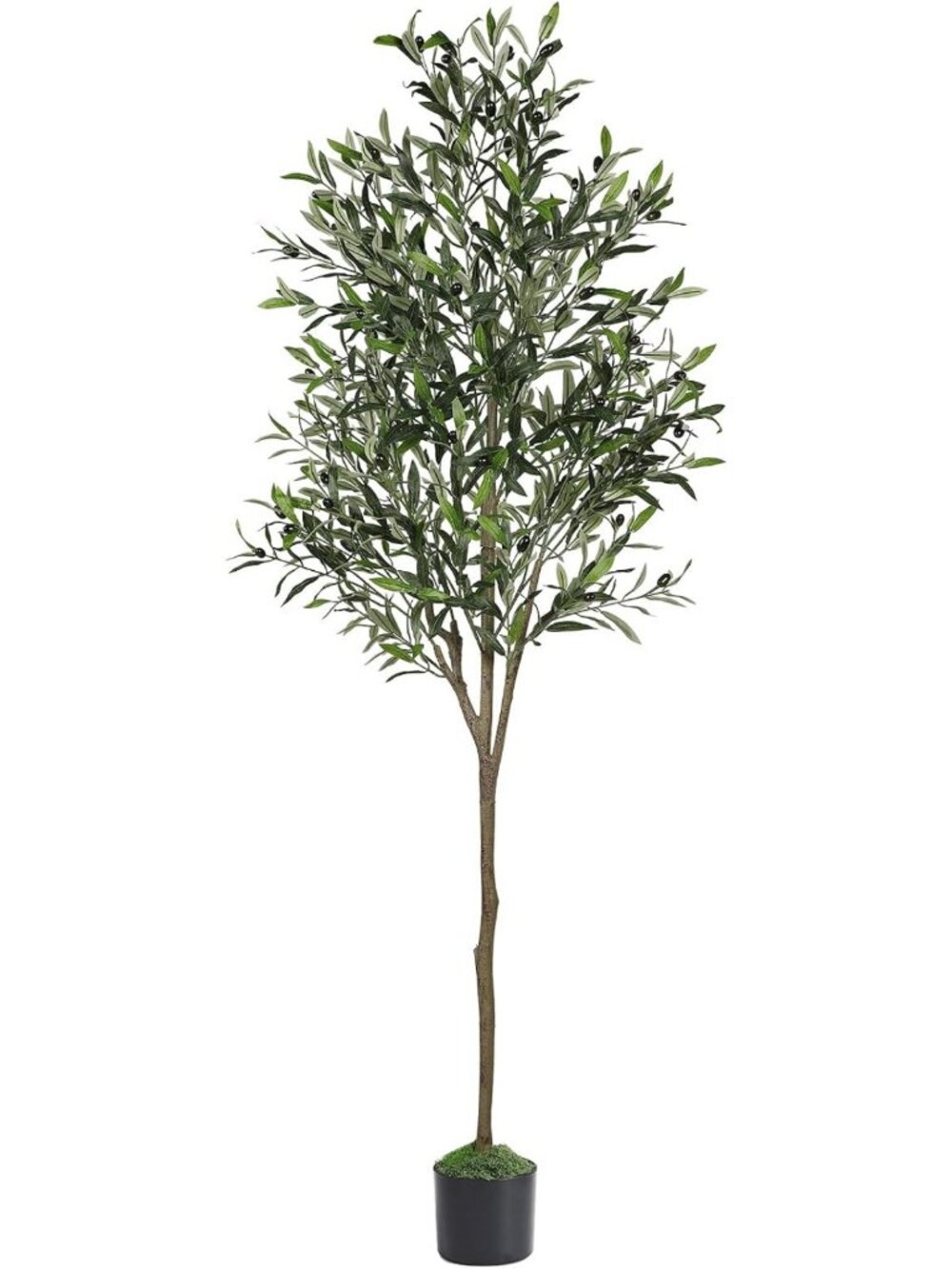 6ft Faux Olive Tree with Realistic Leaves & Lifelike Fruits - Home Decor Accent
